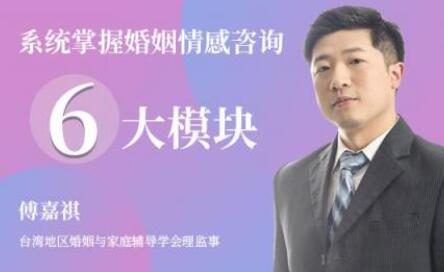 傅嘉祺《系统掌握婚姻情感咨询》6大模块